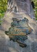 Смоленск. Памятник героям 1812 г. (открыт 10 сентября 1913 г.) 